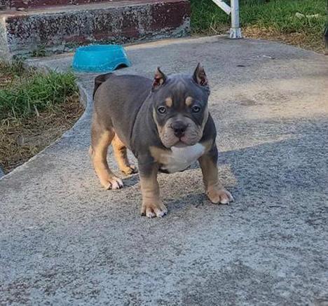 26c63a7a-208c-44f8-82e8-559878c076d7