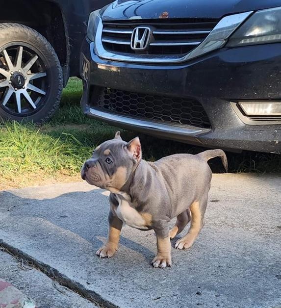 fd8f9d8e-cdd3-4743-8e6a-35989ff42830 (1)